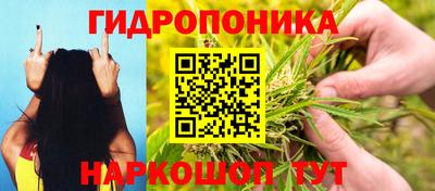 бошки Кимры