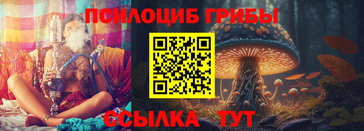 Псилоцибиновые грибы мицелий Красный Сулин